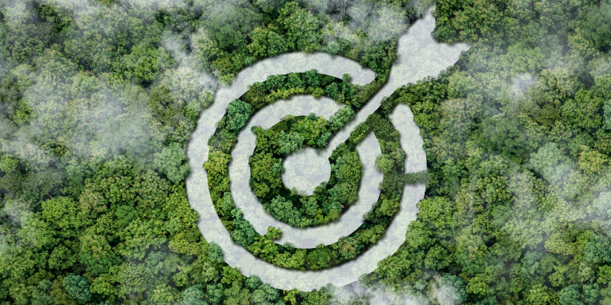 ESG target