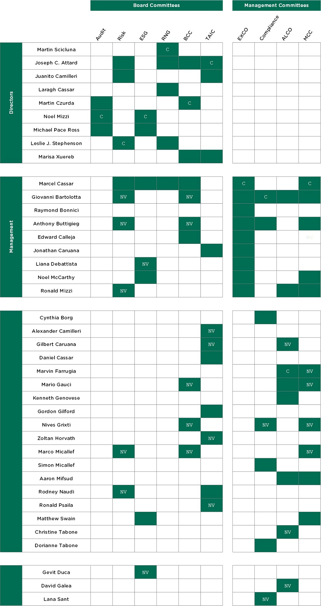 Board Management Committees-v25
