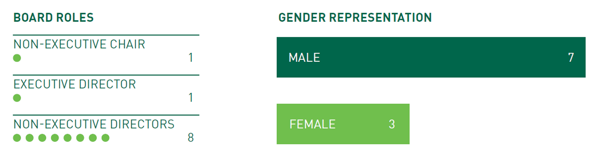 Gender Balance Among Directors